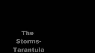 The Storms-Tarantula