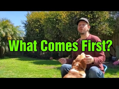 What Goes First: Grass Seed Or Fertilizer In Spring