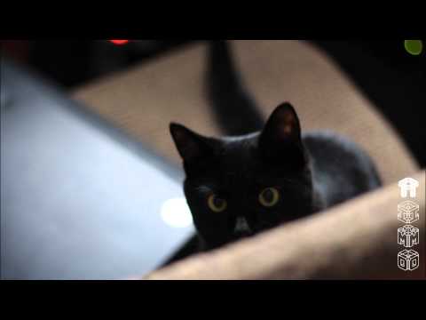 Timo (MF DOOM, Bishop Nehru Type Beat) [Prd.qoR]