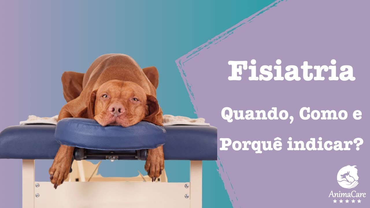 Fisioterapia - Vamos entender a Fisiatria Veterinária?