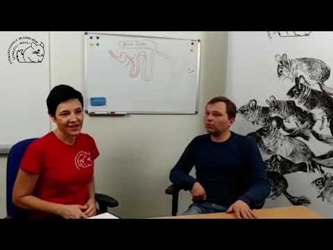 Weterynarz radzi odc. 7 - żywienie szynszyli