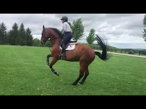 Beezie and Katherine flat Coach at home