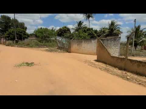 Sítio macambira entrega de frango #Feira Grande Alagoas 