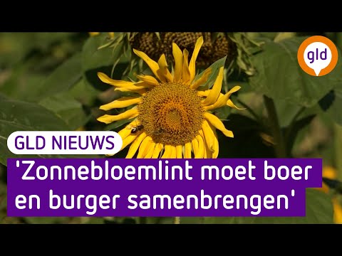 GLD Nieuws 12 augustus 2022