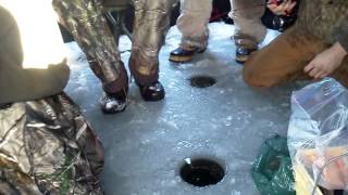 Rainbow trout through the ice. Twin lakes idaho