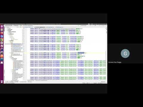 Learn Moqui Session 15 - Localized Messages Labels