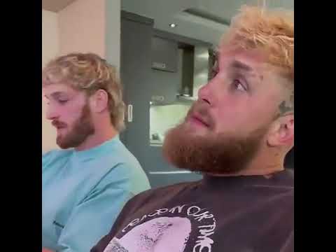 Logan Paul Puts $100k Bet On Salt Papi Win Against Josh Brueckner #loganpaul #jakepaul #saltpapi