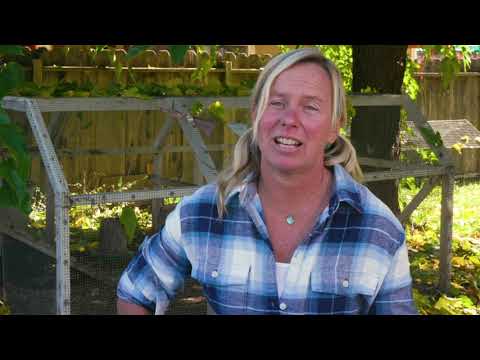 Kirsten Wojcik_Happy Dogs