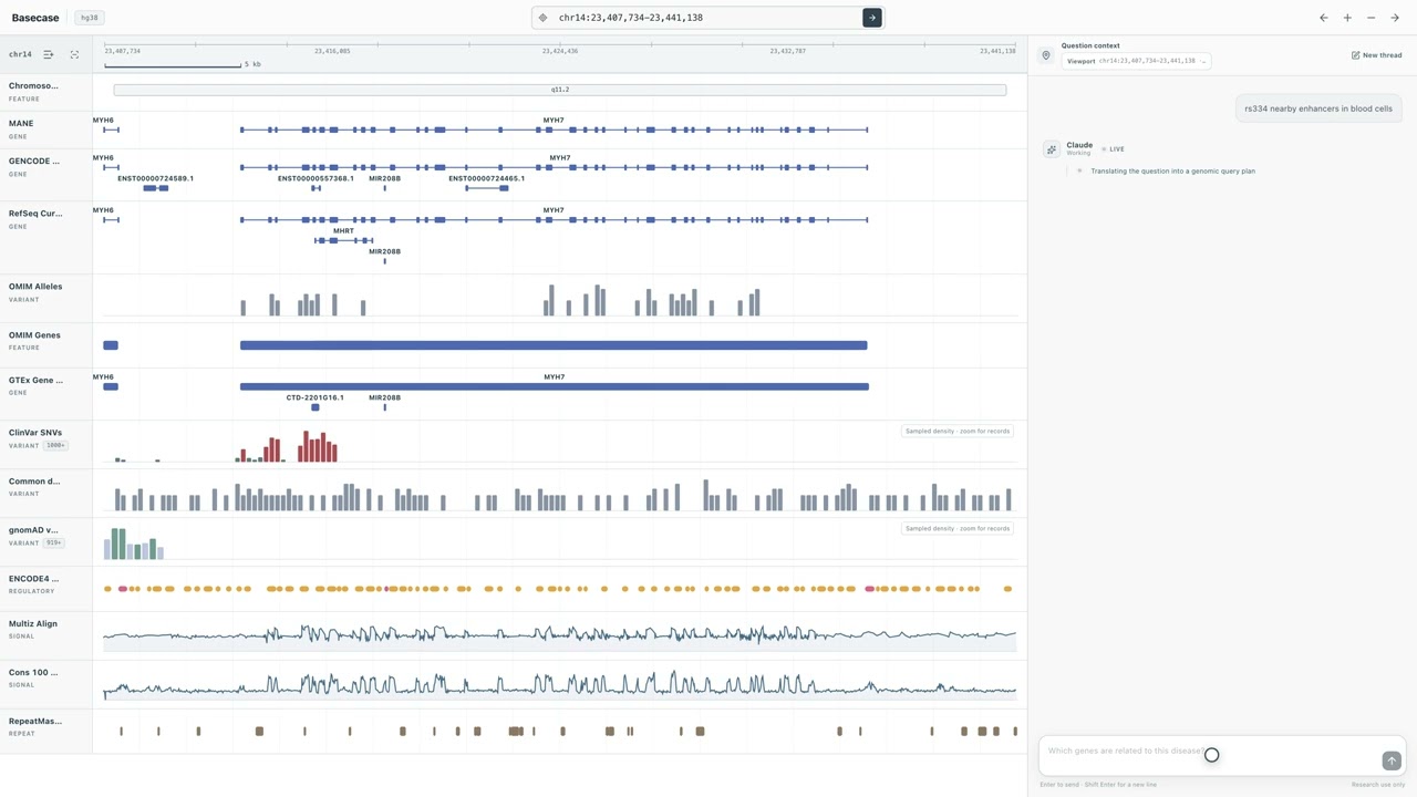 Basecase project preview