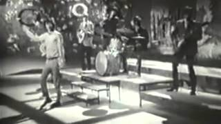 Rolling Stones -- Walkin the Dog -- 1964