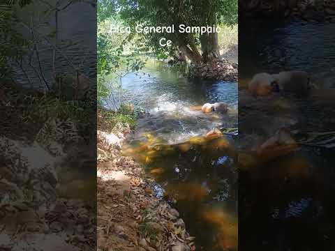 #bica#general#sampaio#ceara#bica#rio#natureza#maravilhoso#maravilhoso#lindo#belissimo#perfeito#ceara