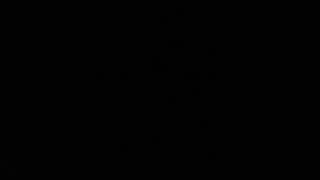 Shadow Of Your Distant Friend Cover Waylon Jennings