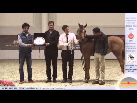 First place Berlin Cup Werder 2015 - Yearling Fillies Championship (Class 15) - N.6 FALHA AL SHAQAB