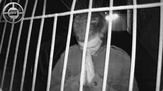 (Net Video) @WerdSOS - Rhymes With Purple