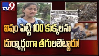 100 stray dogs poisoned near Infosys Samskruti Township in Hyderabad - case registered - TV9