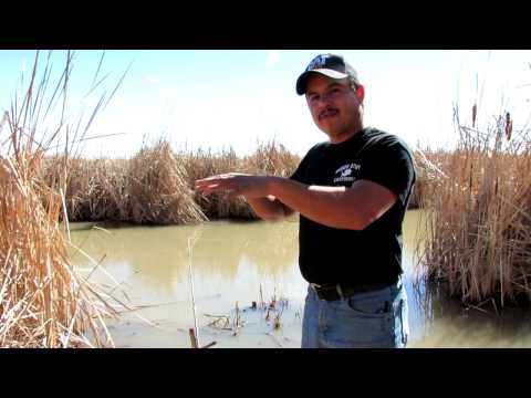 Bank Fishing Tip: How Catfish Bite In Rivers And Streams