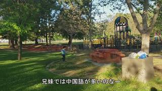 カリフォルニア　シリコンバレーの街サンノゼの公園を子供と散歩