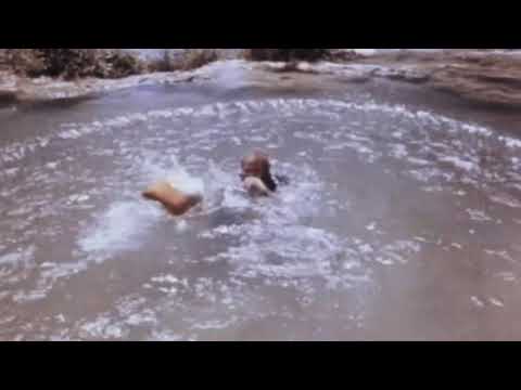 Daughter of the Jungle (1984) - funny monkey scene