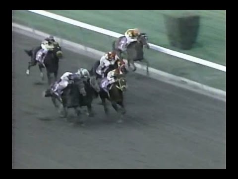 1987 Florida Derby
