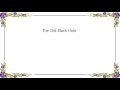 Fruit Bats - The Old Black Hole Lyrics