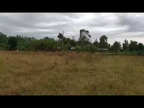 Obrazek poglądowy filmu YouTube