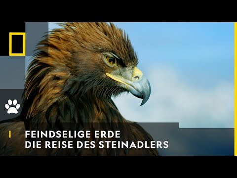 FEINDSELIGE ERDE - Die Reise des Steinadlers | National Geographic