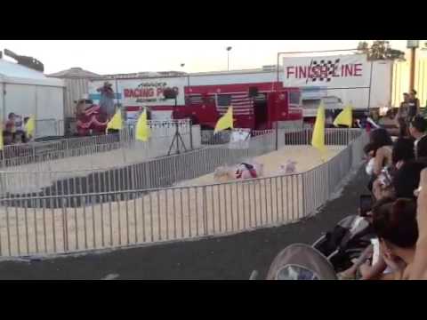 Pig race