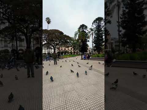 Argentina 🇦🇷 Salta #travel #paseo #walk #walking #salta #subscribe #tour #viaje #caminando #plaza