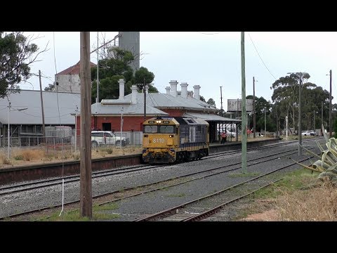 Locomotive 81 Class makes history in Victoria. Pacific National 8110 at St Arnaud.