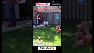 Golden Retriever Saves Man as Propane Leak Triggers a Violent Backyard Blast