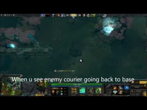 Courier hunting with Nature's Prophet