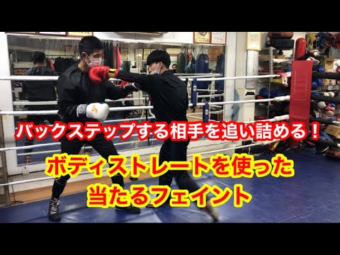 ボディストレートを使った当たるフェイント！（バックステップする相手を追い詰める）