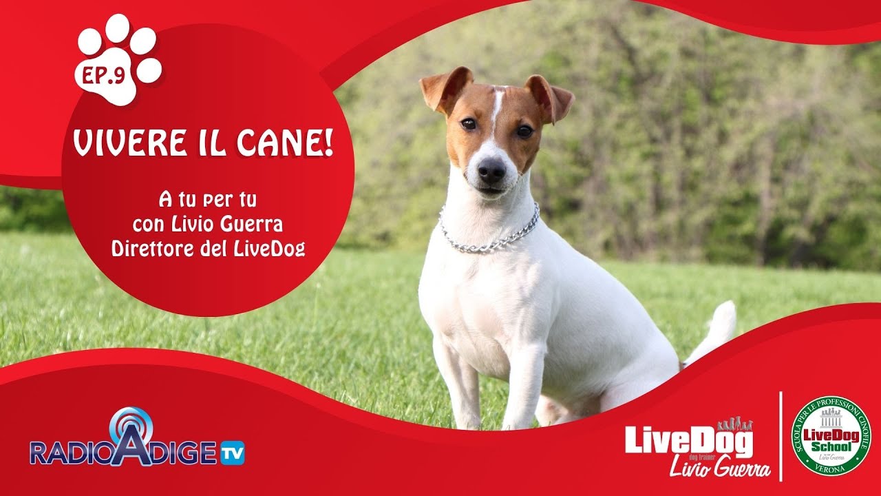 Descrizione dell'immagine