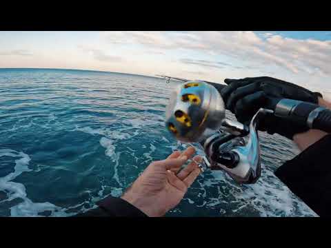 Shore Jigging Dubrovnik - False albacore - Not on the rocks