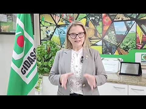 Caruru-gigante em SC: Cidasc explica riscos da praga e orienta produtores