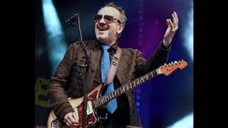 Elvis Costello-My Mood Swings