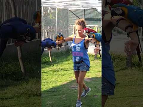 756 - Zpěvačka Lucka Vondráčková  v Království papoušků????