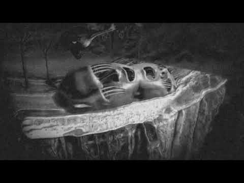 Florian Kruse ft. Lazarusman - The Proof Of Life (Paride Saraceni Remix)[Selador]