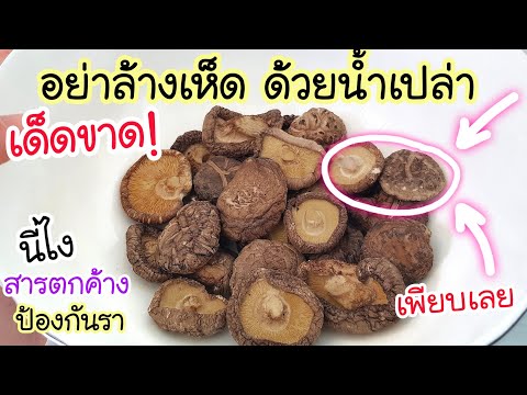 คลิกเพื่อดูคลิปวิดีโอ