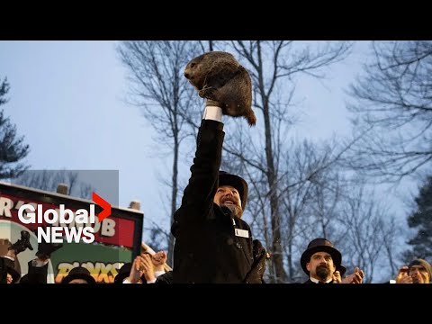 Groundhog Day 2026: Punxsutawney Phil predicts 6 more weeks of winter