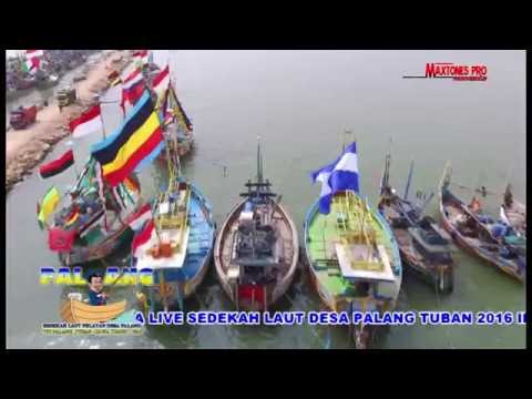 OM AURORA PALANG 2016 INSTRUMEN GRAJAKAN BANYUWANGI