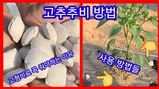 고추추비 원예고형비료를 꼭줘야  하는이유 고추추비 간격!방법들사용밥법들 노지재배시 점적테이프로 관수시에도 사…