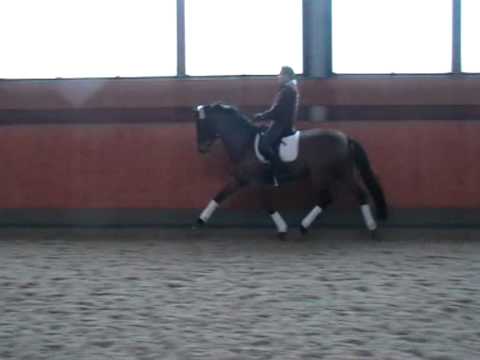 7j. W. v. Diamond Hit- Ex Libris.mpg