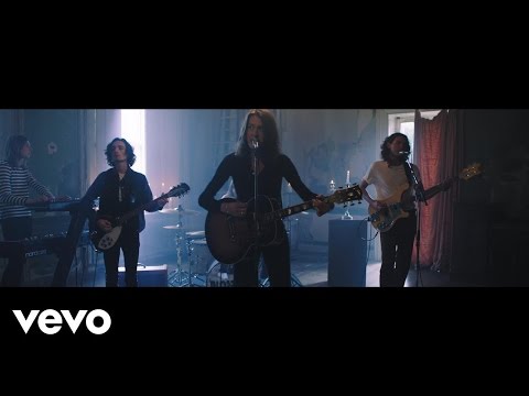 Blossoms - Blown Rose