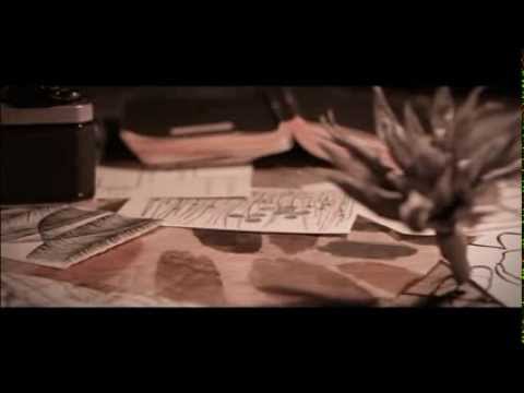 Видеообзор