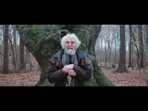 Europas Wildnis - Jasmunds "Alter Buchenwald"