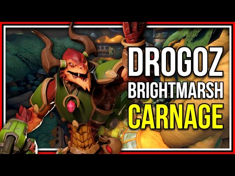 This is Why I LOVE Drogoz on Brightmarsh! - Paladins Drogoz Gameplay