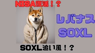 【SOXL追い風?】散財会社員のNISA・レバナス・SOXL運用実績