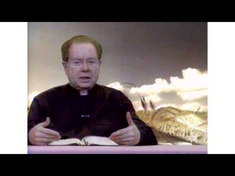 O Pão Nosso 30 Agosto 2016     -      Pe. F. C .Cardoso