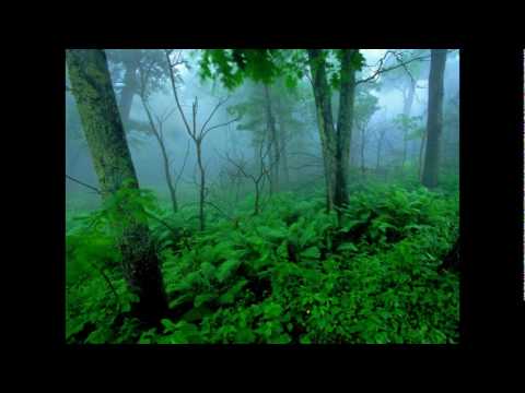 Virus J & Justin Xara - Return 2 Innocence